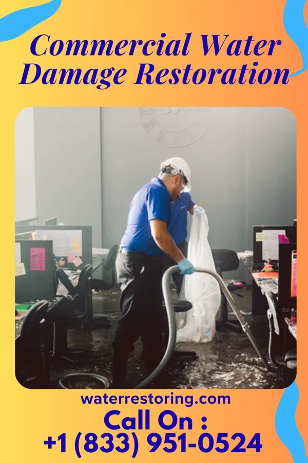 Commercial Water Damage Restoration in Wathena, KS