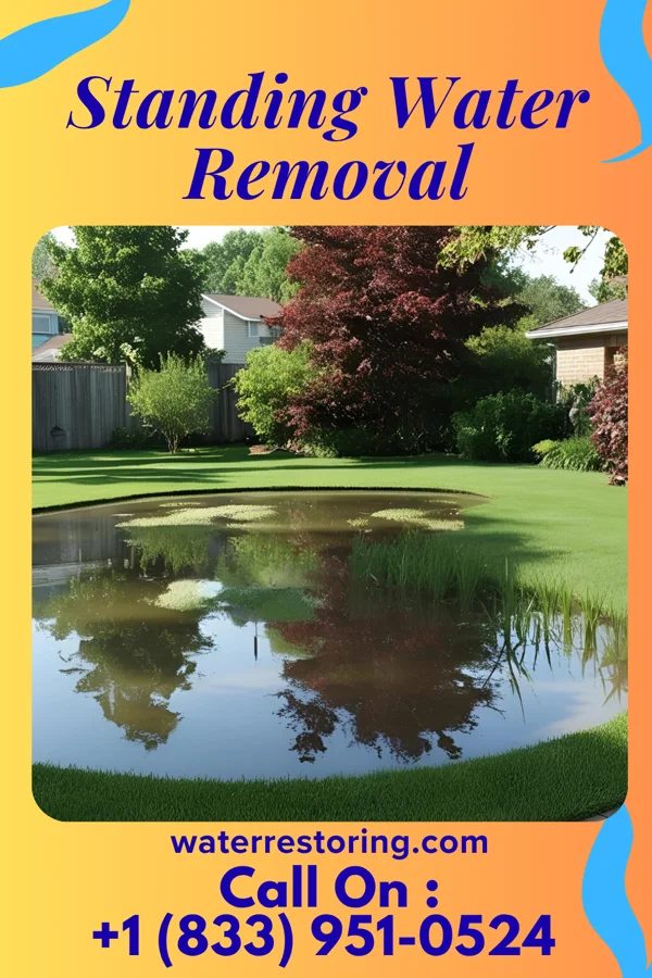Standing Water Removal in Wathena, KS